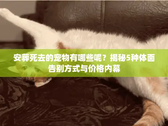 安葬死去的宠物有哪些呢？揭秘5种体面告别方式与价格内幕