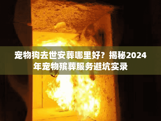 宠物狗去世安葬哪里好？揭秘2024年宠物殡葬服务避坑实录