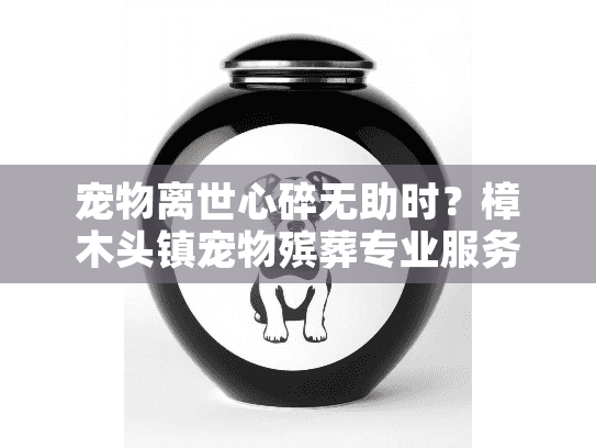 宠物离世心碎无助时?樟木头镇宠物殡葬专业服务暖心解忧 宠物离世心碎无助时?樟木头镇宠物殡葬专业服务暖心解忧