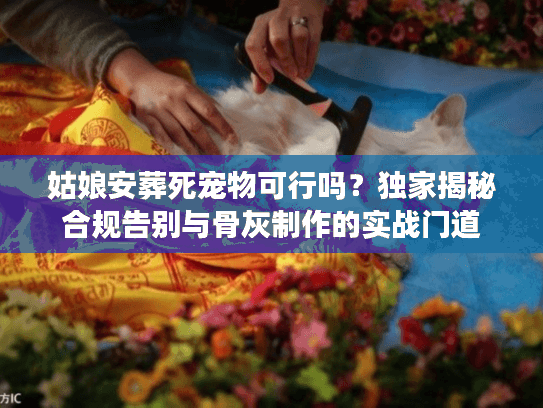 姑娘安葬死宠物可行吗？独家揭秘合规告别与骨灰制作的实战门道