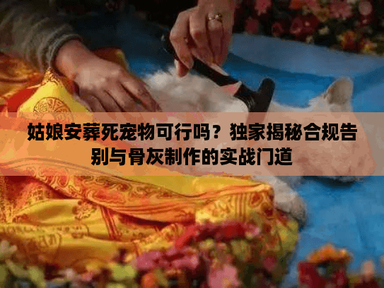姑娘安葬死宠物可行吗？独家揭秘合规告别与骨灰制作的实战门道