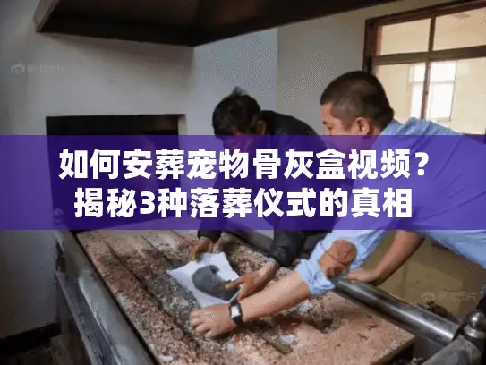 如何安葬宠物骨灰盒视频？揭秘3种落葬仪式的真相