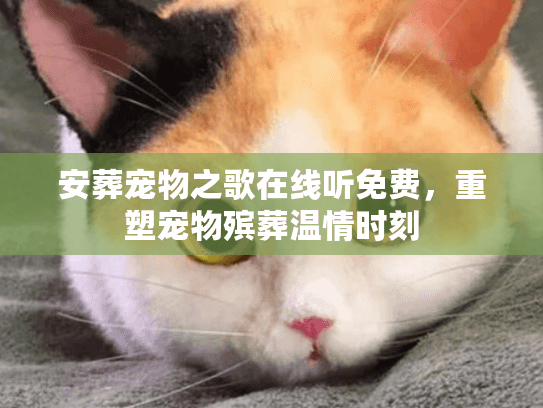 安葬宠物之歌在线听免费，重塑宠物殡葬温情时刻