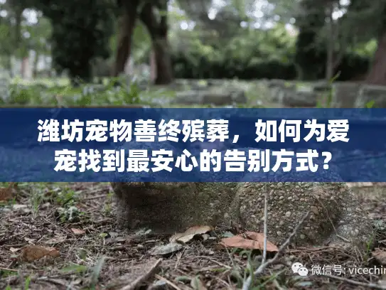 潍坊宠物善终殡葬，如何为爱宠找到最安心的告别方式？