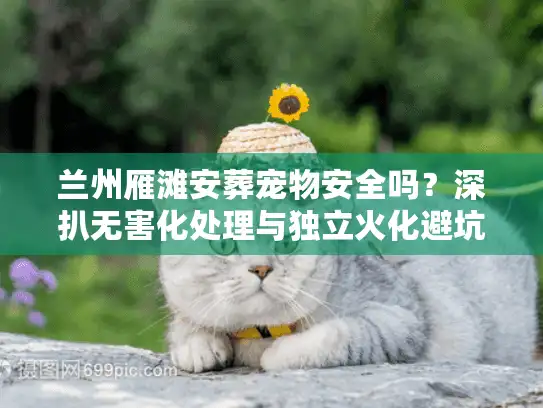 兰州雁滩安葬宠物安全吗?深扒无害化处理与独立火化避坑内幕 兰州雁滩安葬宠物安全吗?深扒无害化处理与独立火化避坑内幕