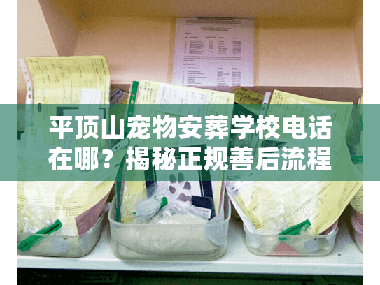 平顶山宠物安葬学校电话在哪?揭秘正规善后流程 平顶山宠物安葬学校电话在哪?揭秘正规善后流程