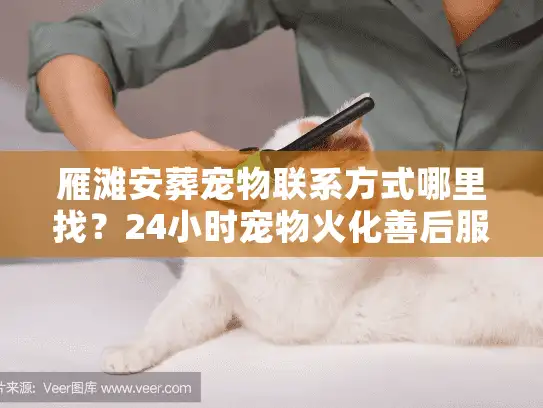 雁滩安葬宠物联系方式哪里找？24小时宠物火化善后服务全解析