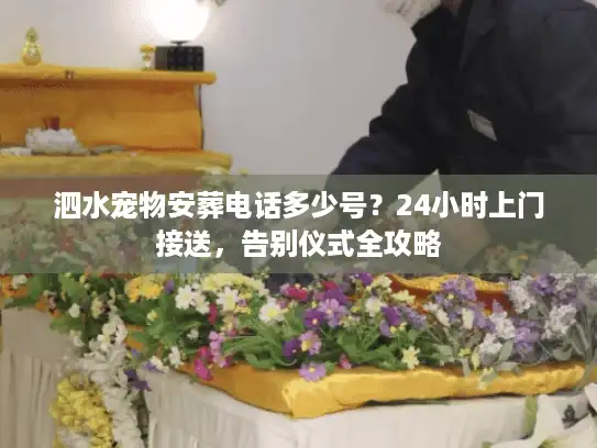 泗水宠物安葬电话多少号？24小时上门接送，告别仪式全攻略