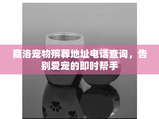 商洛宠物殡葬地址电话查询,告别爱宠的即时帮手 商洛宠物殡葬地址电话查询,告别爱宠的即时帮手