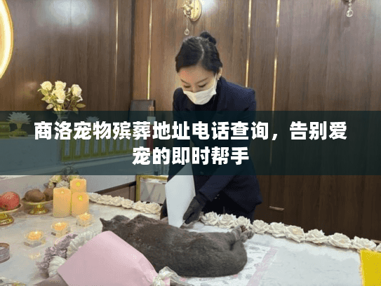 商洛宠物殡葬地址电话查询,告别爱宠的即时帮手 商洛宠物殡葬地址电话查询,告别爱宠的即时帮手