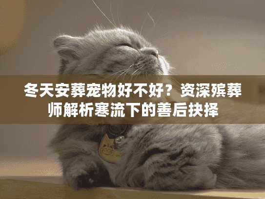 冬天安葬宠物好不好?资深殡葬师解析寒流下的善后抉择 冬天安葬宠物好不好?资深殡葬师解析寒流下的善后抉择