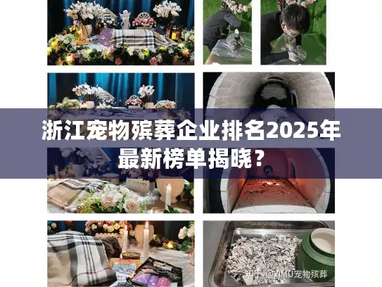 浙江宠物殡葬企业排名2025年最新榜单揭晓？
