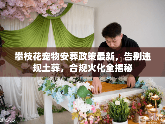 攀枝花宠物安葬政策最新，告别违规土葬，合规火化全揭秘