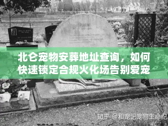 北仑宠物安葬地址查询，如何快速锁定合规火化场告别爱宠？