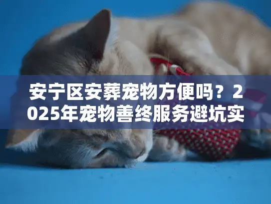 安宁区安葬宠物方便吗？2025年宠物善终服务避坑实录