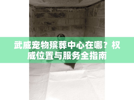 武威宠物殡葬中心在哪？权威位置与服务全指南