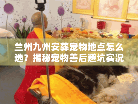 兰州九州安葬宠物地点怎么选？揭秘宠物善后避坑实况