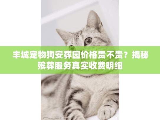 丰城宠物狗安葬园价格贵不贵?揭秘殡葬服务真实收费明细 丰城宠物狗安葬园价格贵不贵?揭秘殡葬服务真实收费明细