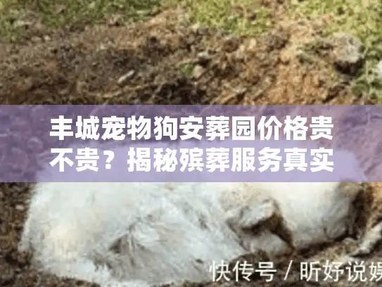 丰城宠物狗安葬园价格贵不贵?揭秘殡葬服务真实收费明细 丰城宠物狗安葬园价格贵不贵?揭秘殡葬服务真实收费明细