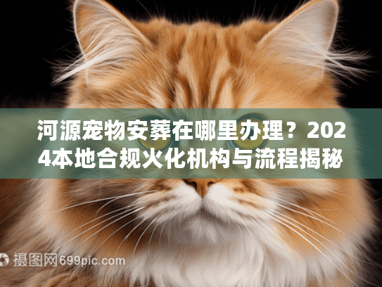 河源宠物安葬在哪里办理？2024本地合规火化机构与流程揭秘