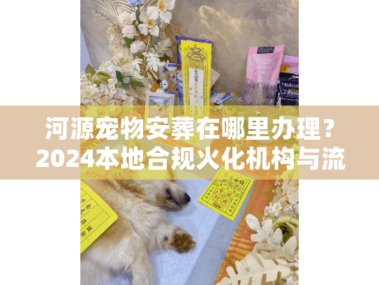 河源宠物安葬在哪里办理？2024本地合规火化机构与流程揭秘