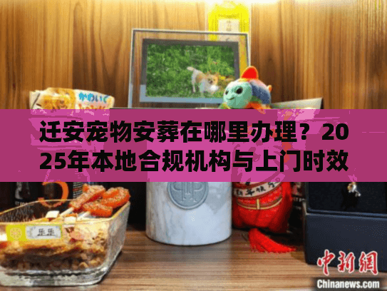 迁安宠物安葬在哪里办理?2025年本地合规机构与上门时效实况 迁安宠物安葬在哪里办理?2025年本地合规机构与上门时效实况
