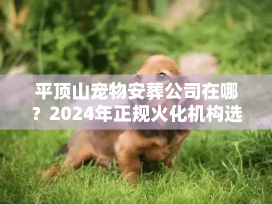 平顶山宠物安葬公司在哪？2024年正规火化机构选址与收费