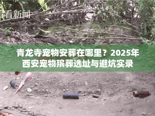 青龙寺宠物安葬在哪里？2025年西安宠物殡葬选址与避坑实录