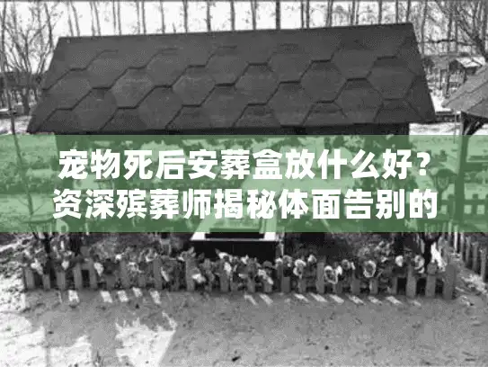 宠物死后安葬盒放什么好？资深殡葬师揭秘体面告别的5种陪伴物