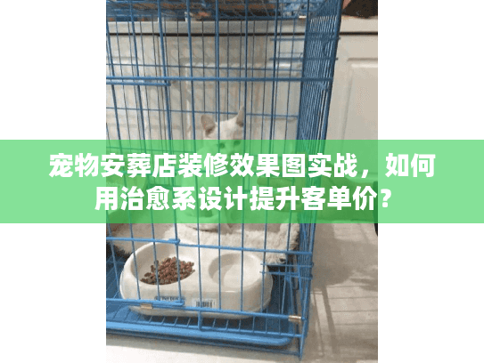 宠物安葬店装修效果图实战，如何用治愈系设计提升客单价？