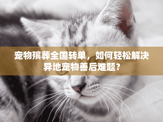 宠物殡葬全国转单，如何轻松解决异地宠物善后难题？