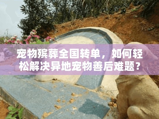 宠物殡葬全国转单，如何轻松解决异地宠物善后难题？