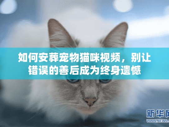 如何安葬宠物猫咪视频,别让错误的善后成为终身遗憾 如何安葬宠物猫咪视频,别让错误的善后成为终身遗憾