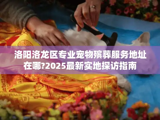 洛阳洛龙区专业宠物殡葬服务地址在哪?2025最新实地探访指南
