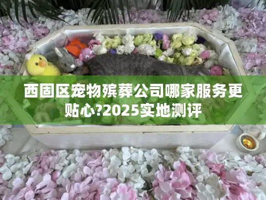 西固区宠物殡葬公司哪家服务更贴心?2025实地测评