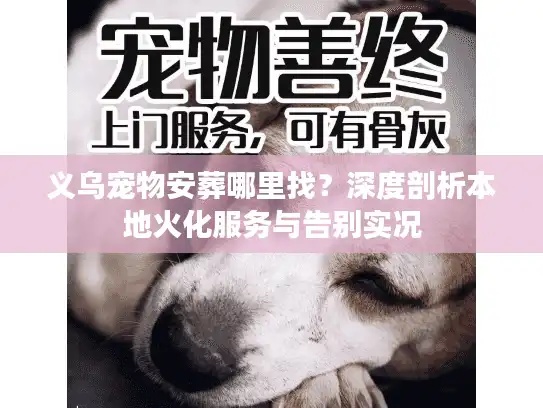 义乌宠物安葬哪里找?深度剖析本地火化服务与告别实况 义乌宠物安葬哪里找?深度剖析本地火化服务与告别实况