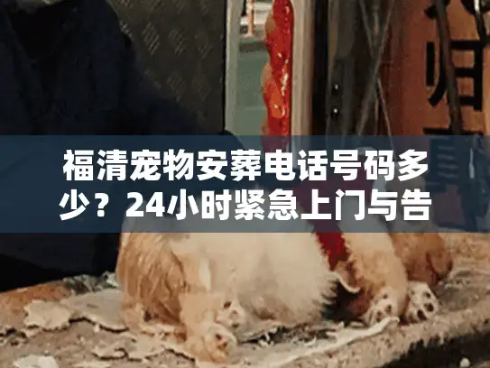 福清宠物安葬电话号码多少？24小时紧急上门与告别仪式全流程