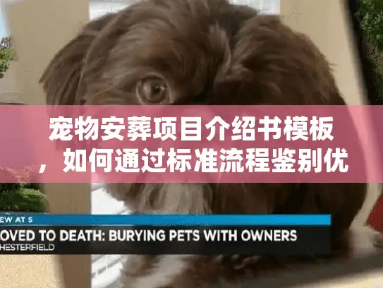 宠物安葬项目介绍书模板，如何通过标准流程鉴别优质服务商