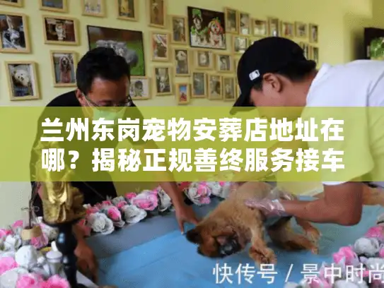 兰州东岗宠物安葬店地址在哪？揭秘正规善终服务接车点