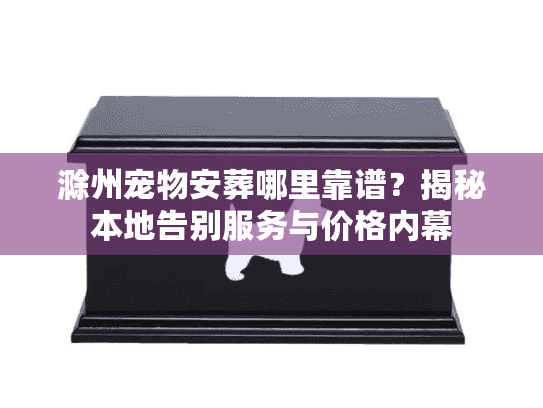 滁州宠物安葬哪里靠谱？揭秘本地告别服务与价格内幕
