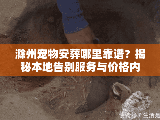 滁州宠物安葬哪里靠谱？揭秘本地告别服务与价格内幕