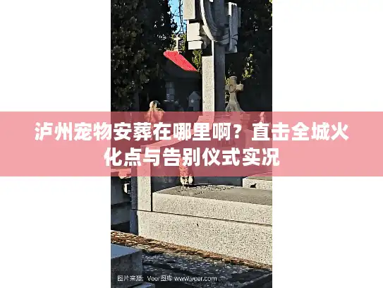 泸州宠物安葬在哪里啊？直击全城火化点与告别仪式实况