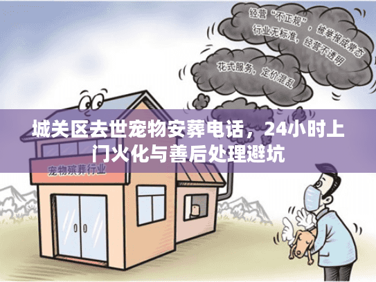 城关区去世宠物安葬电话，24小时上门火化与善后处理避坑