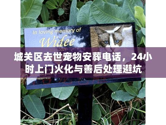 城关区去世宠物安葬电话，24小时上门火化与善后处理避坑