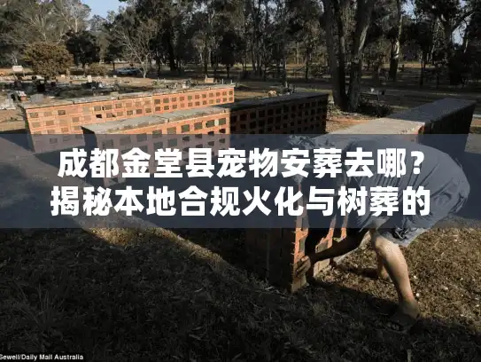 成都金堂县宠物安葬去哪?揭秘本地合规火化与树葬的真实流程 成都金堂县宠物安葬去哪?揭秘本地合规火化与树葬的真实流程