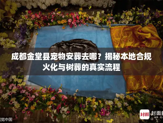 成都金堂县宠物安葬去哪?揭秘本地合规火化与树葬的真实流程 成都金堂县宠物安葬去哪?揭秘本地合规火化与树葬的真实流程