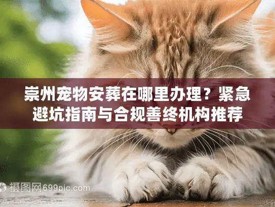 崇州宠物安葬在哪里办理？紧急避坑指南与合规善终机构推荐