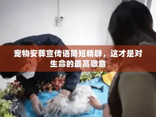 宠物安葬宣传语简短精辟，这才是对生命的最高敬意