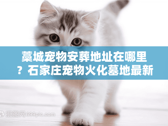 藁城宠物安葬地址在哪里?石家庄宠物火化墓地最新位置实探 藁城宠物安葬地址在哪里?石家庄宠物火化墓地最新位置实探