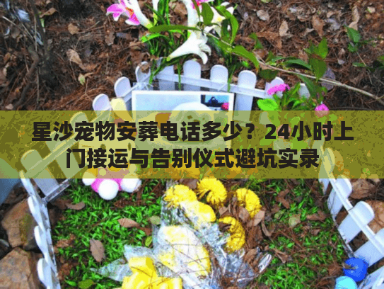 星沙宠物安葬电话多少？24小时上门接运与告别仪式避坑实录